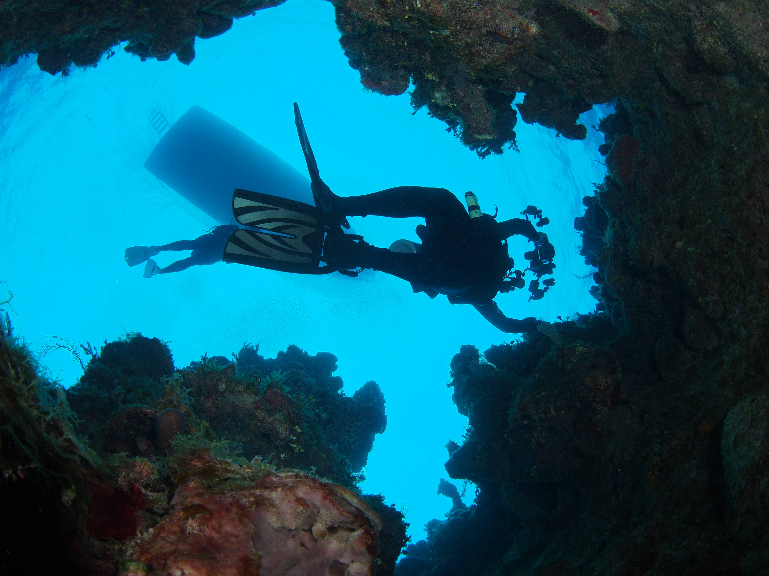 Best Bahamas Scuba Diving - Site Site: Double Caves, Riding Rock San Salvador, Bahamas.