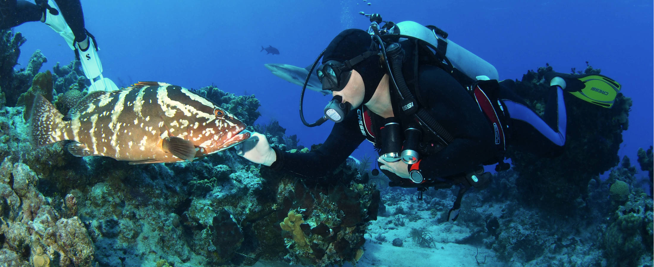 Bahamas Scuba Diving - Snapshot, Dive Site