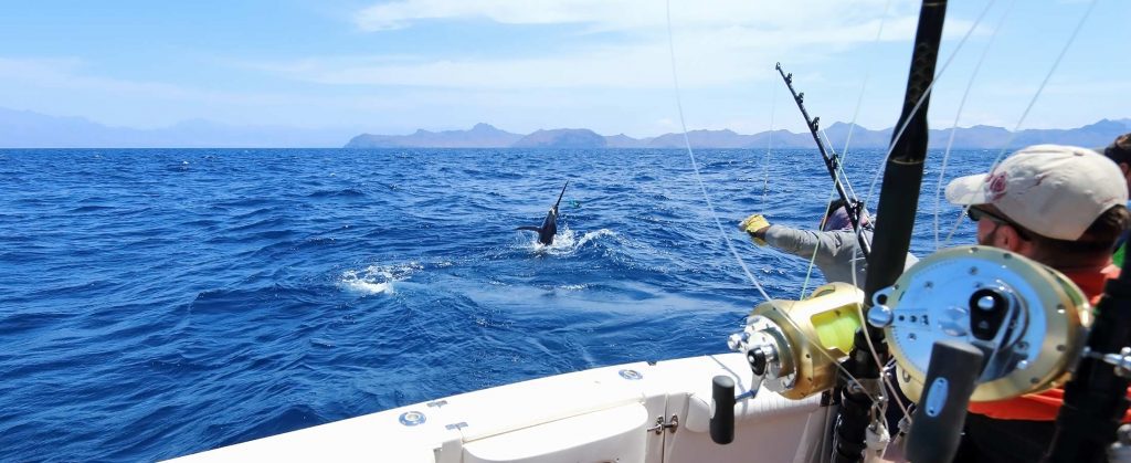 riding rock fishing, bahamas deep sea fishing