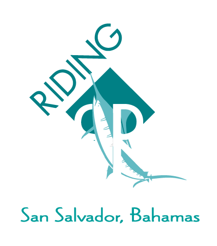 riding rock resort and marina