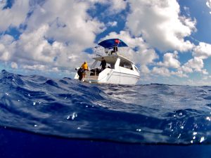 bahamas scuba diving